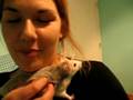 videos de Wisla