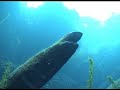 florida cave diving trip