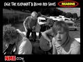 NME Video: Cage The Elephant & Blood Red Shoes NME Video: Cage The Elephant & Blood Red Shoes