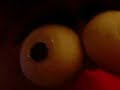 Mr.Potato Head Plays Guitar Hero