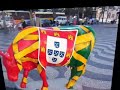 le cimetiere des elephants