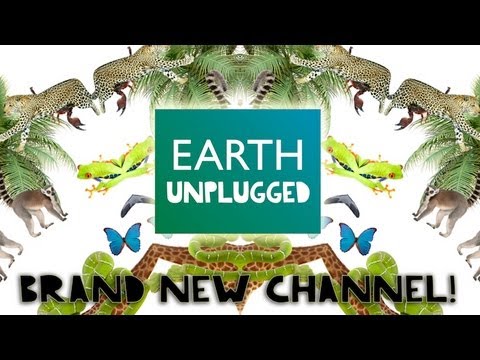 What is Earth Unplugged? - Brand New You Tube Channel from BBC Earth Productions