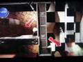 videos de PEYOTE ROLLEY LBP