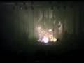 TRÓPICO-VIOLETA DE OUTONO