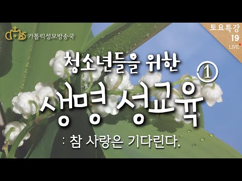 청소년들을 위한 생명 성교육 : 참 사랑은 기다린다