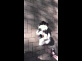 �����ե�󥳥졼��:YouTube������=3��