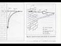 xarxes subterranes.wmv