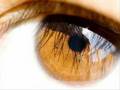 Assistir ao v�deo
