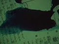 l\ l\