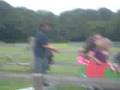 rare breeds centre ashford kent pig racing