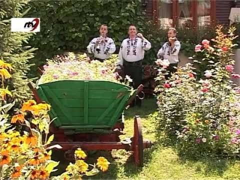 La Multi Ani Tata Socru Geo Din Buhusi