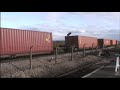 Steam. Duck & the never ending goods train [Thomas Tank]