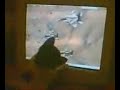 Kitten playing with the mouse cursor Kitten playing with the mouse cursor