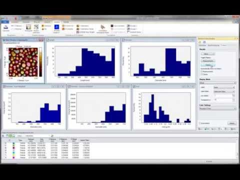Image Metrology – Particle & Pore Analysis in SPIP