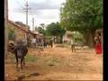 BIOGAS PROGRAMME IN INDIA