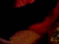 videos de ke partia de kulo puto xuxo.3gp