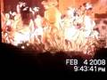 Tapati rapa nui 2008 baile niños
