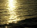 the heart asks pleasure first