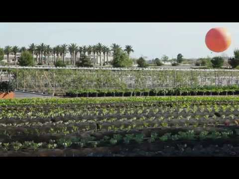 how to fertilize 5 acres