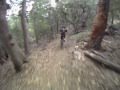 more of SART ride - 