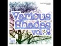Fast Vision Soul's "Ayodele" from the latest Deeper Shades Recordings release is now on YouTube for you to check out .. http://ow.ly/8BEge