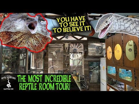 YouTube reptile video