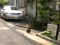 新宿区あけぼのばし通り安養坂