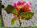 NO TE OLVIDARE -Gloria Estefan /Fotos Susanalake