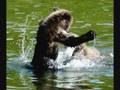 Bear Man of Kamchatka