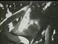 Don dokken-stay