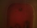 gustavo ceratti.wmv gustavo ceratti.wmv