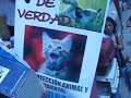 CASITA DE LAS ADOPCIONES
