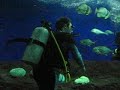 Como pez en el agua