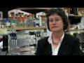 Obama Inauguration: A Positive Change in Federal Stem Cell Research Policies