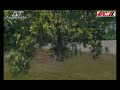 Crash at Monza in GT Legends