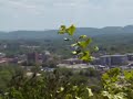 ge-e1235-from-the-brow-n-gadsden-alabama-1.html