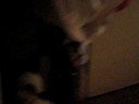 PA120017.AVI