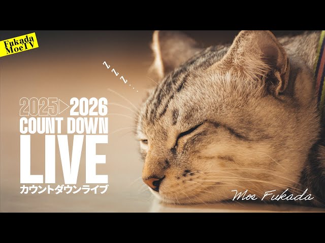 深田萌絵『2025年は刑事告訴あった味わい深い年』
