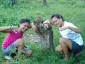 bonding psb whit ajg bonding psb whit ajg