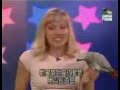parrot show talking african grey