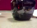 Nicky Labron Prank Call Egg Nicky Labron Prank Call Egg