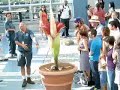 CORPSE FLOWER growing CORPSE FLOWER growing