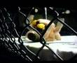 Ollie Ellis Vs Mark 'Spenna' Spencer
