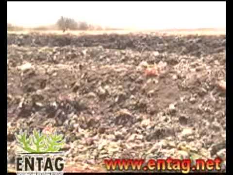 MSW Sorting , Recycling and Treatment - Sudan