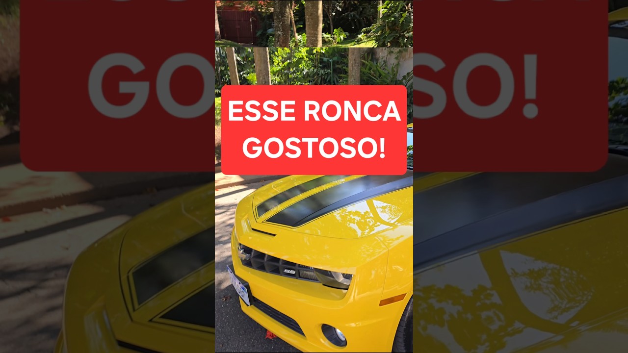 CAMARO V8