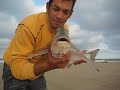 RAUL DORADA  4 k nuevo mirar pescadoradagigante.blogspot.com SURCASTING ORATA