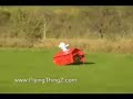 Flying RED Dog House