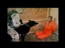 guantanamo.html