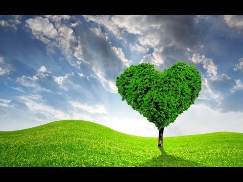 eemaan - al-Wasatiyyah in Relationship to Eemaan - Shaykh Muhammad 'Umar Bazmool source: Tawheed 1st Productions.