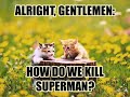 Strange world full of.... CATS!  part 02